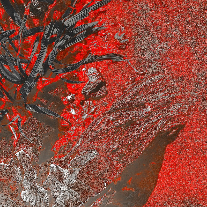 Фотографія BLOWING DUST / Володимир Лобач / photographers.ua