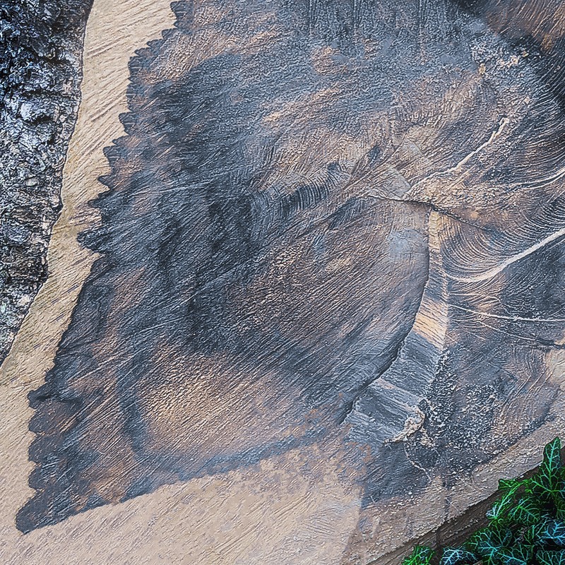 Фотографія A LITTLE  OF GREEN / Володимир Лобач / photographers.ua