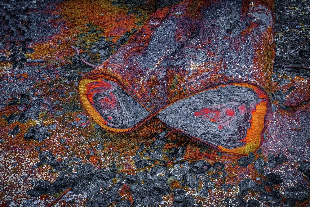 Фотографія INFINITY / Володимир Лобач / photographers.ua