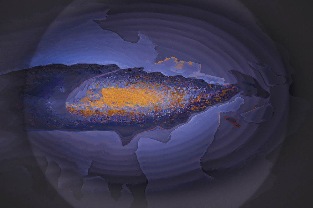 Фотографія JUST SWIM! / Володимир Лобач / photographers.ua