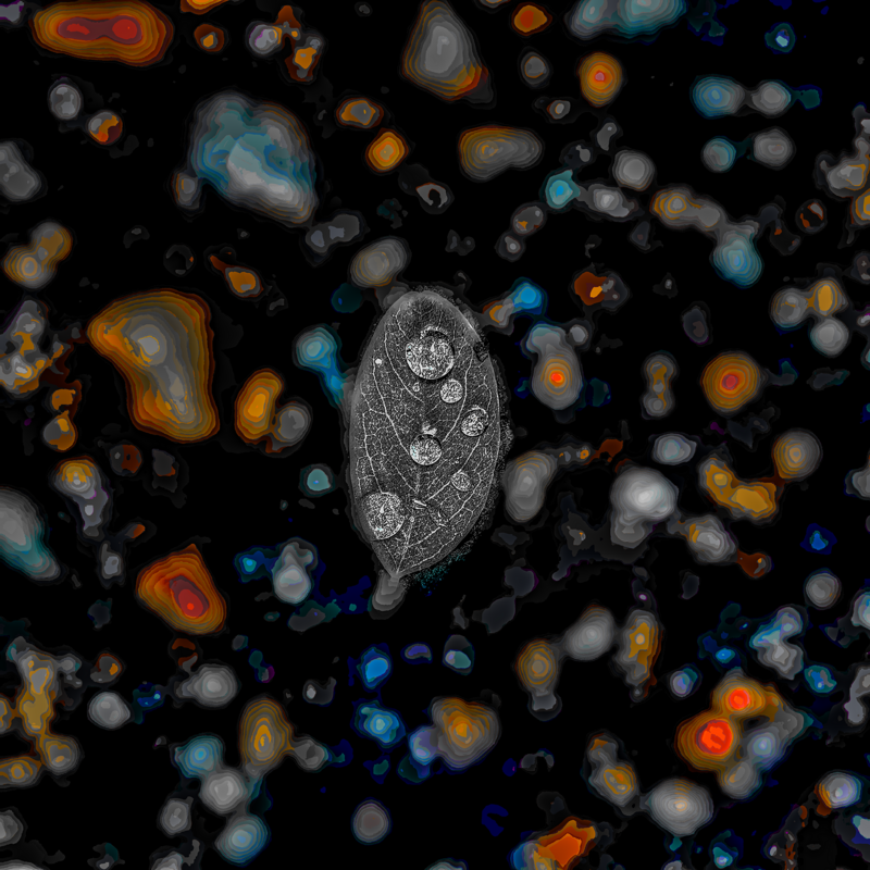 Фотографія SUMMER GO... / Володимир Лобач / photographers.ua