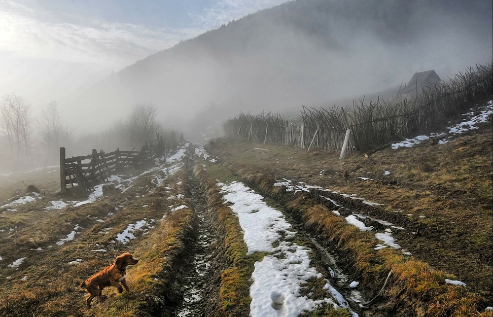 Фотографія Перше полювання.... / Василь  Фіцколинець / photographers.ua