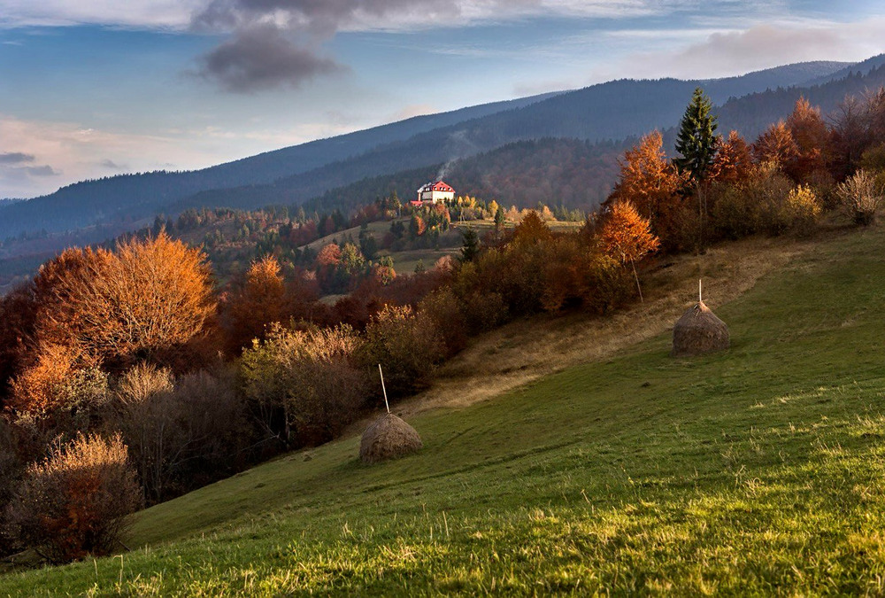 Фотографія В барвах осені... / Василь  Фіцколинець / photographers.ua