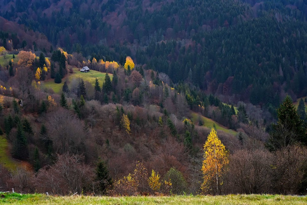 Фотографія У темних синіх горах... / Василь  Фіцколинець / photographers.ua