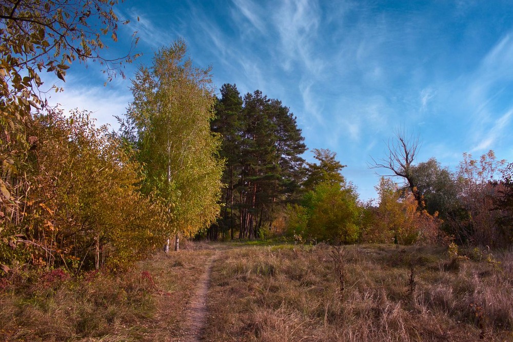 Фотографія ***** / Володимир Зінченко / photographers.ua