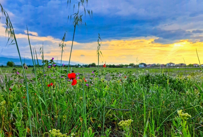 Фотографія Пейзаж / Николов / photographers.ua