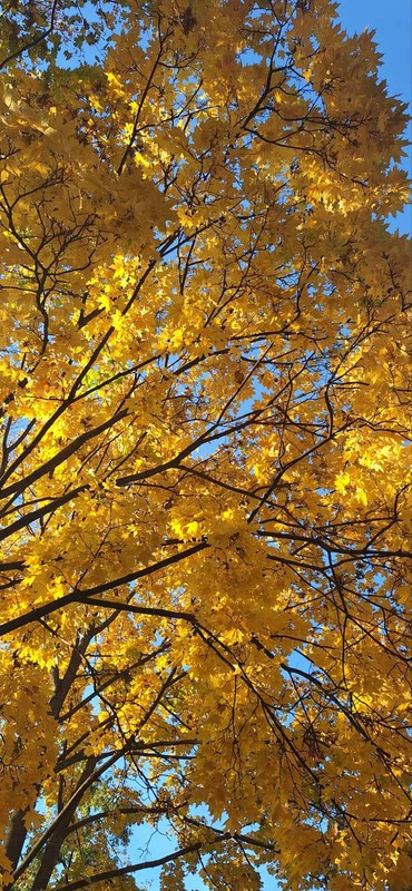 Фотографія Краса навкруги / Виктория Буц / photographers.ua