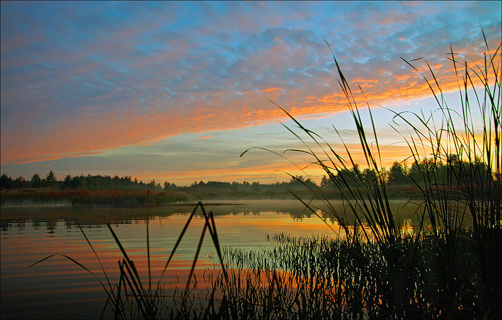 Фотографія Утро на безымянном озере / Вячеслав Муратов / photographers.ua