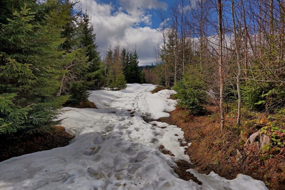 Фотографія Пейзаж / Сергій Орішкевич / photographers.ua