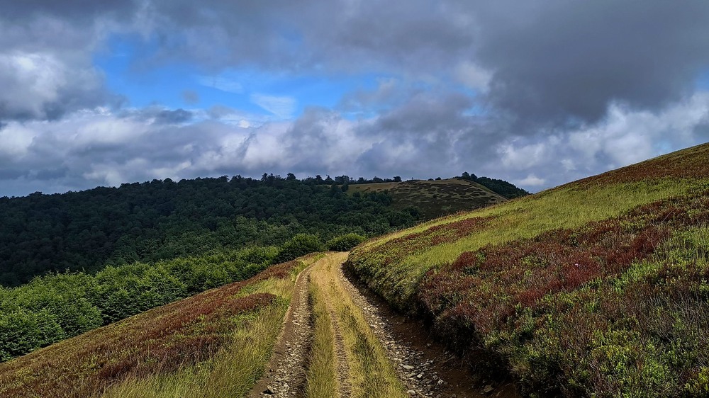 Фотографія На полонині Кук / Сергій Орішкевич / photographers.ua