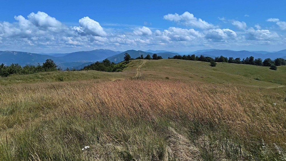 Фотографія Пейзаж / Сергій Орішкевич / photographers.ua