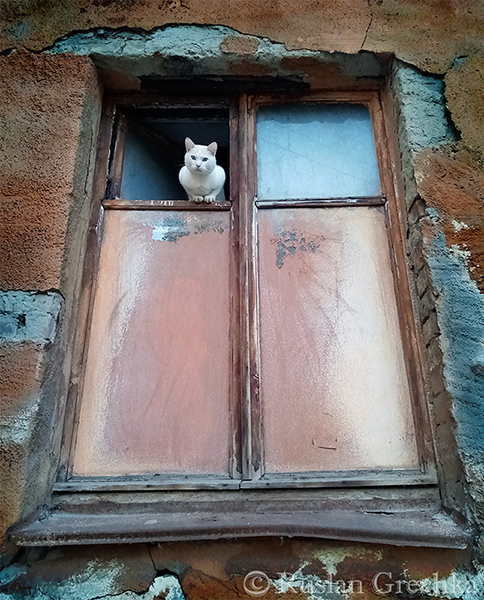 Фотографія Там, де мешкає самотність / Руслан Гречка / photographers.ua