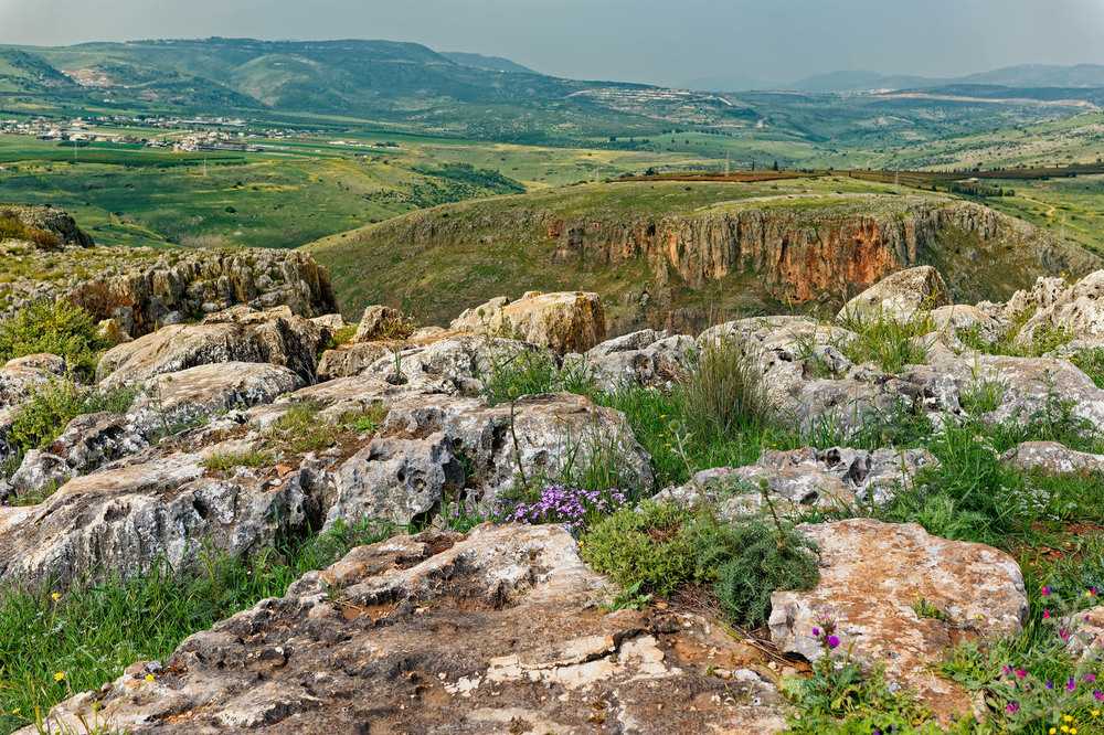Фотографія Весна в Галилее / David Solodar / photographers.ua