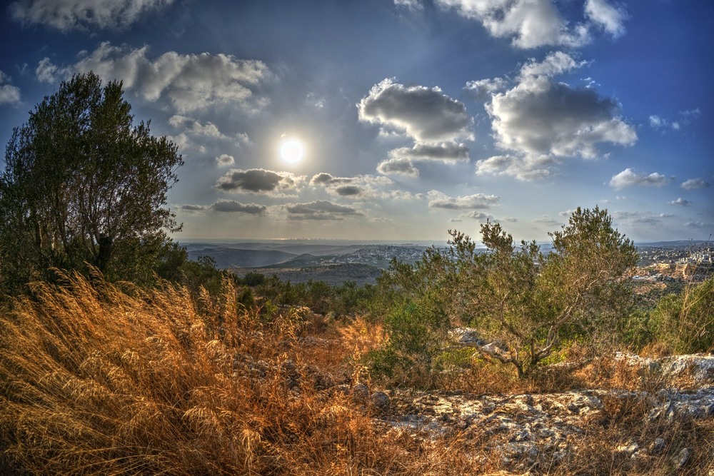 Фотографія View of the Mediterranean Sea from the hills of Samaria / David Solodar / photographers.ua