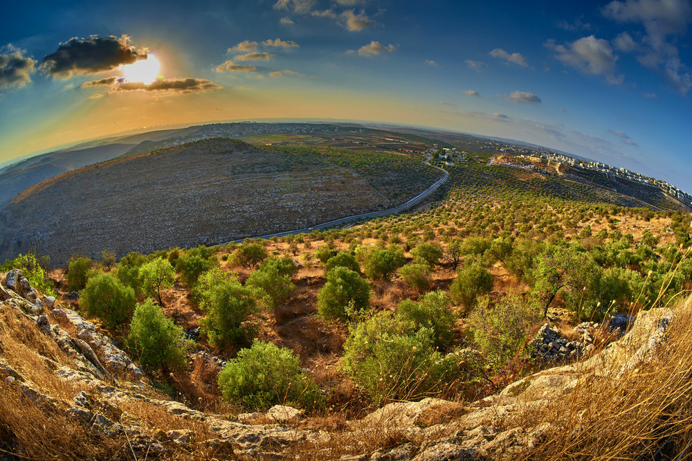 Фотографія Samaria-Shomron,Israel / David Solodar / photographers.ua