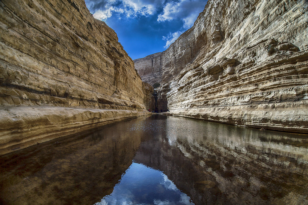 Фотографія Эйн-Авдат, Израиль,запове дник / David Solodar / photographers.ua
