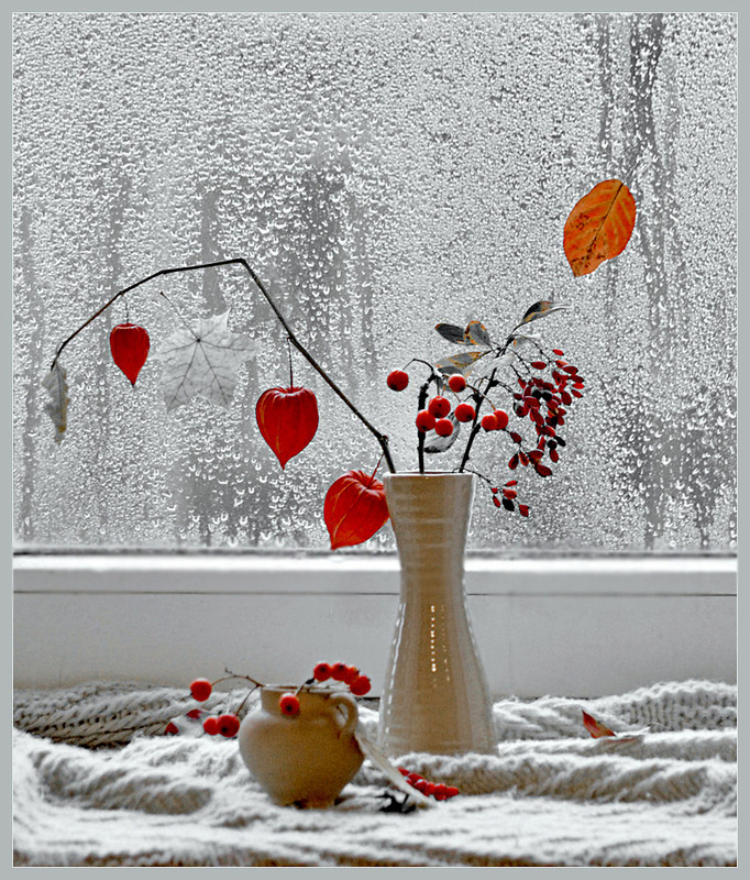 Фотографія Про маленьку вазочку з низькою самооцінкою, яка мріяла вирости й погарнішати.... / Тіна Качалова / photographers.ua