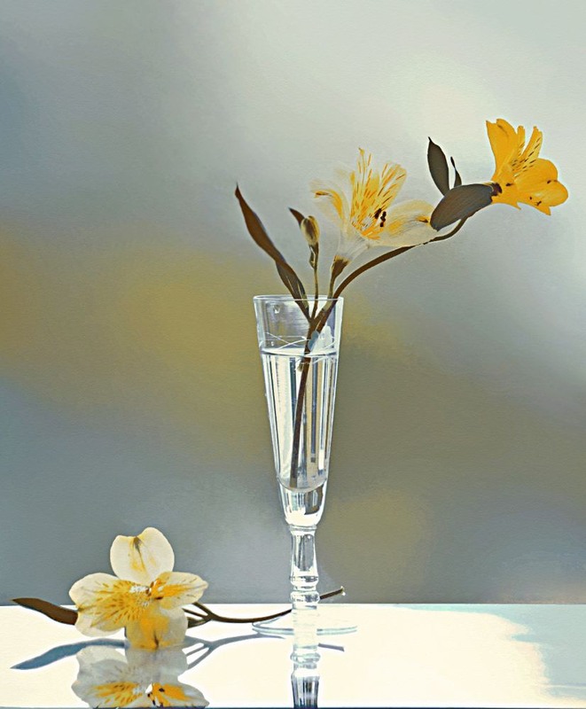 Фотографія Дві реальності / Тіна Качалова / photographers.ua