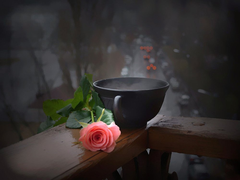 Фотографія Пізня кава / Тіна Качалова / photographers.ua