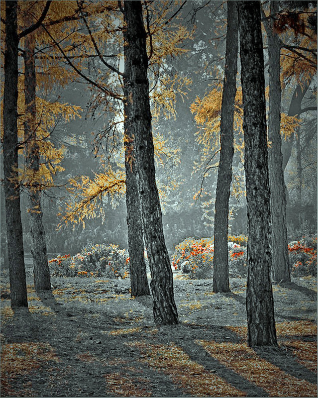 Фотографія В місячному сяйві / Тіна Качалова / photographers.ua