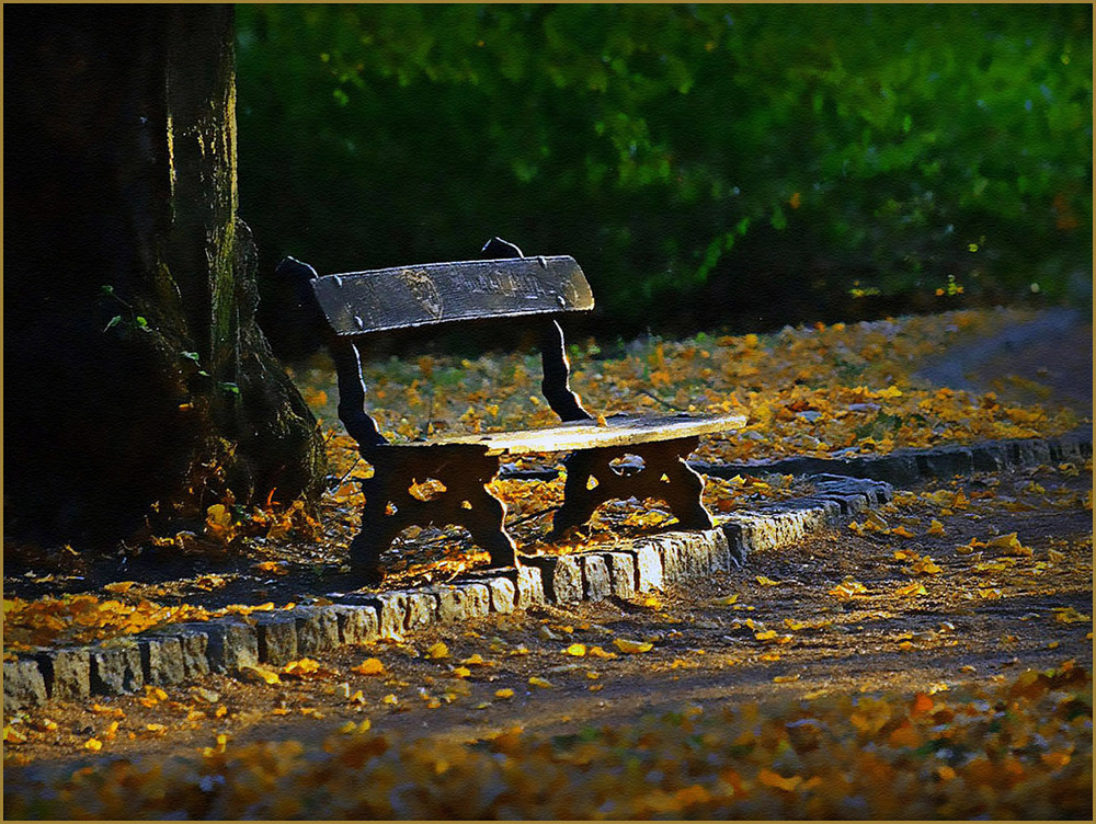 Фотографія Лавочка, яка знає багато секретів.... / Тіна Качалова / photographers.ua