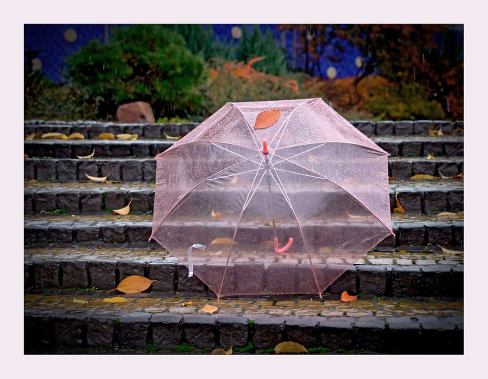 Фотографія Про парасолю, яка любила осінь... / Тіна Качалова / photographers.ua