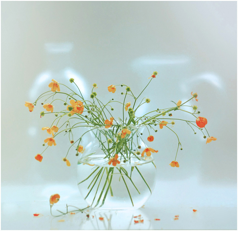 Фотографія Дві реальності / Тіна Качалова / photographers.ua