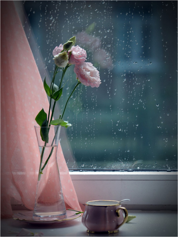 Фотографія Мелодія крапель... / Тіна Качалова / photographers.ua