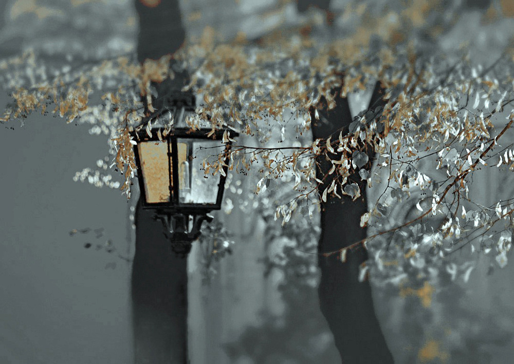 Фотографія Одного холодного осіннього вечора / Тіна Качалова / photographers.ua