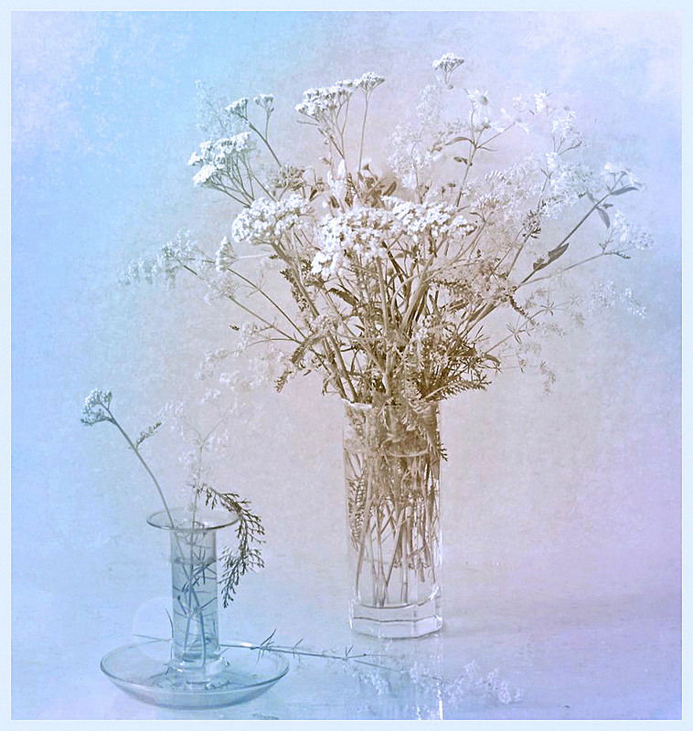 Фотографія Грудневі рефлексії / Тіна Качалова / photographers.ua