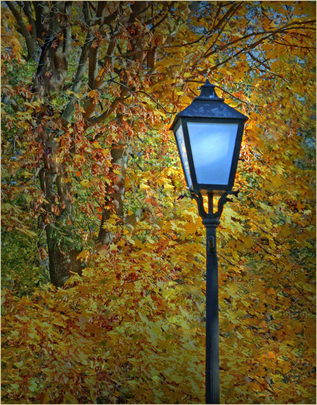 Фотографія До мене завітала осінь... / Тіна Качалова / photographers.ua