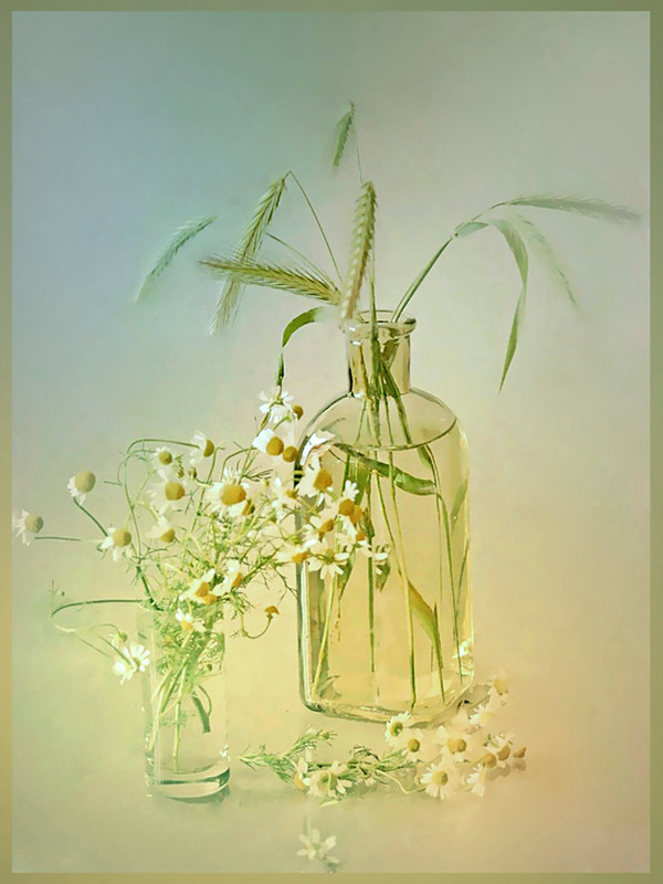 Фотографія Ноктюрн / Тіна Качалова / photographers.ua