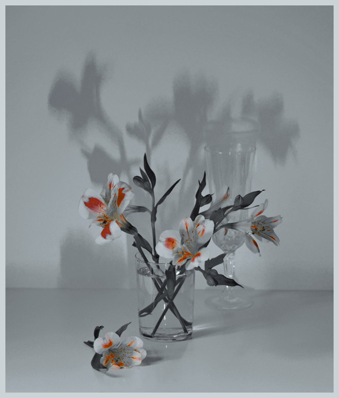 Фотографія Натюрморт / Тіна Качалова / photographers.ua