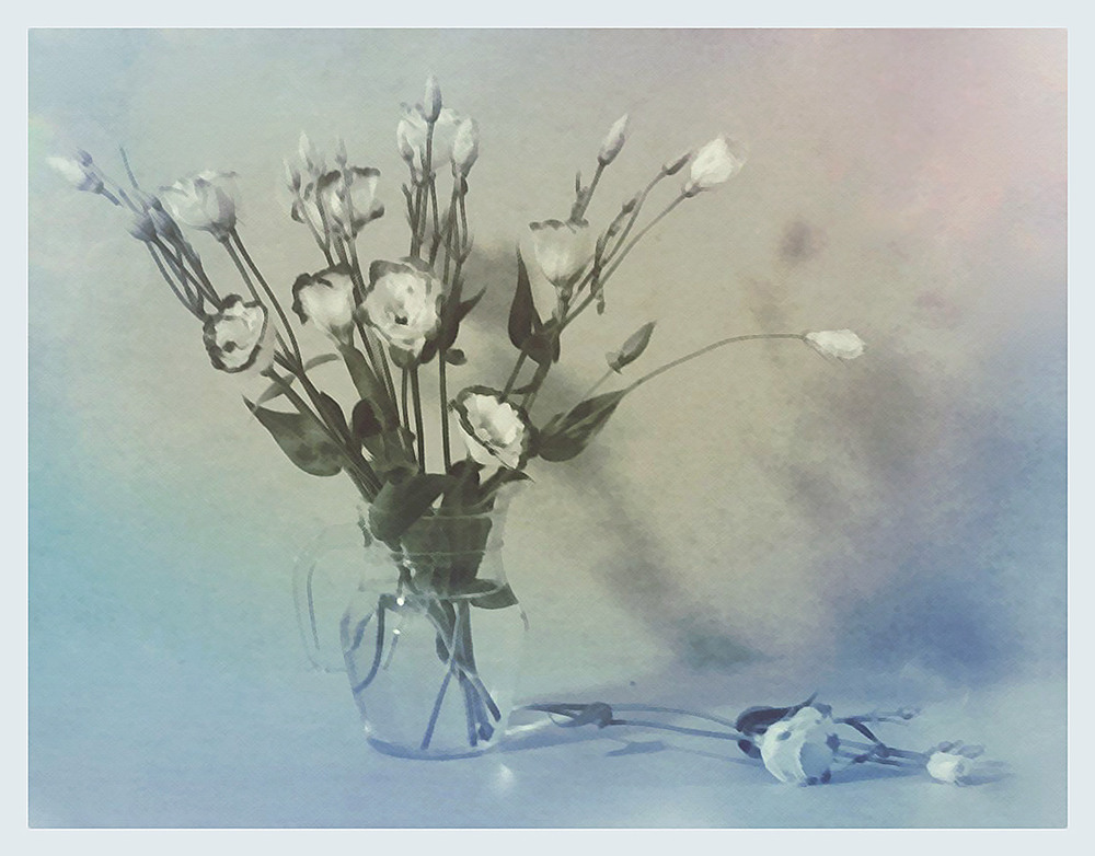 Фотографія Натюрморт / Тіна Качалова / photographers.ua