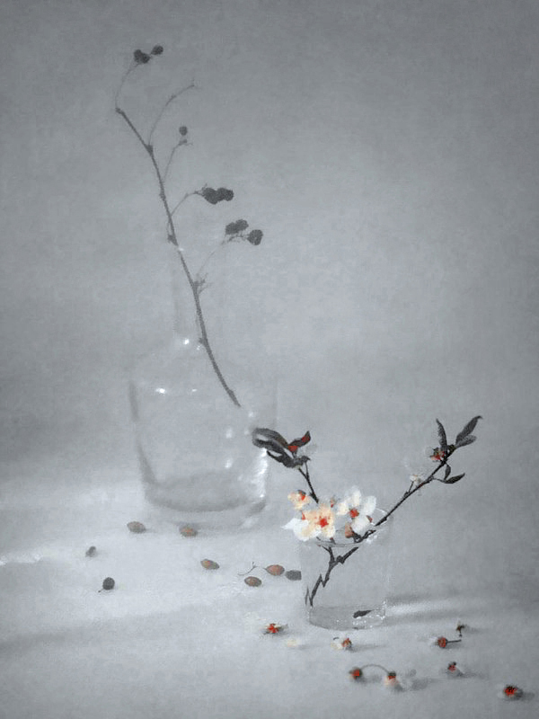 Фотографія Серія "Дві реальності" / Тіна Качалова / photographers.ua