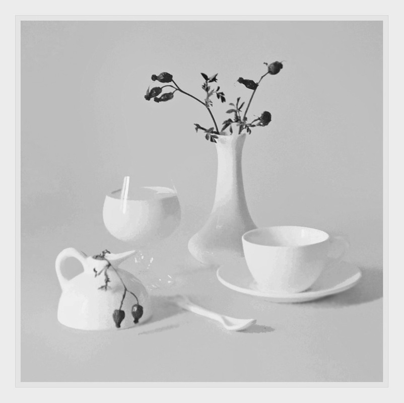 Фотографія Натюр, який не полюбляв колір / Тіна Качалова / photographers.ua