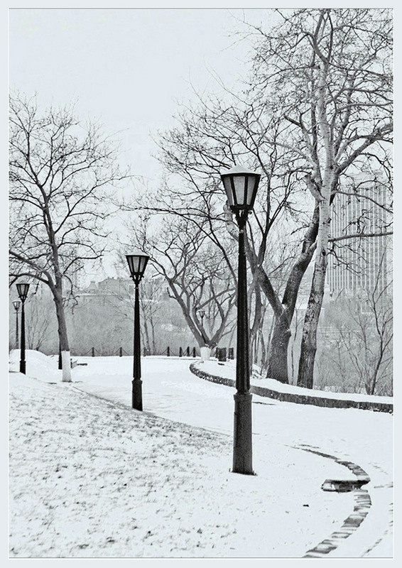 Фотографія Перша пороша / Тіна Качалова / photographers.ua