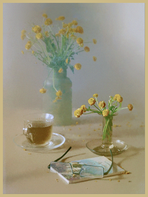 Фотографія Натюрморт / Тіна Качалова / photographers.ua