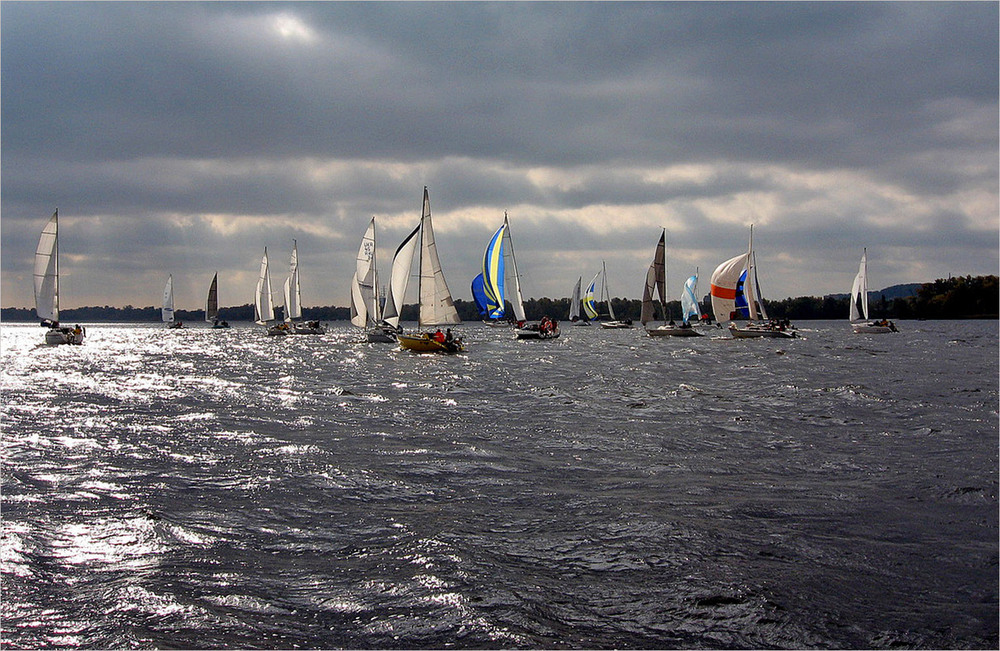 Фотографія Регата / Тіна Качалова / photographers.ua