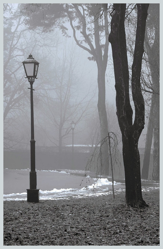 Фотографія Перший сніг / Тіна Качалова / photographers.ua