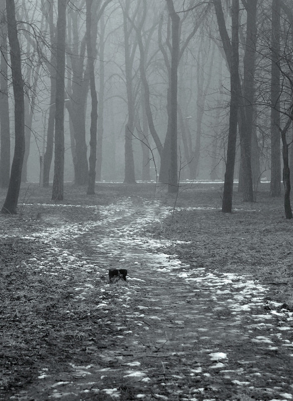 Фотографія Подих зими / Тіна Качалова / photographers.ua