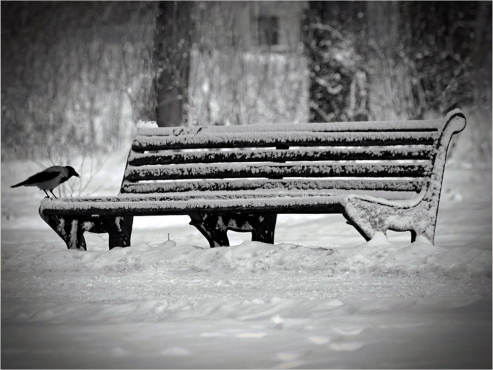 Фотографія Ану-ну, а що ви там  мені принесли? / Тіна Качалова / photographers.ua