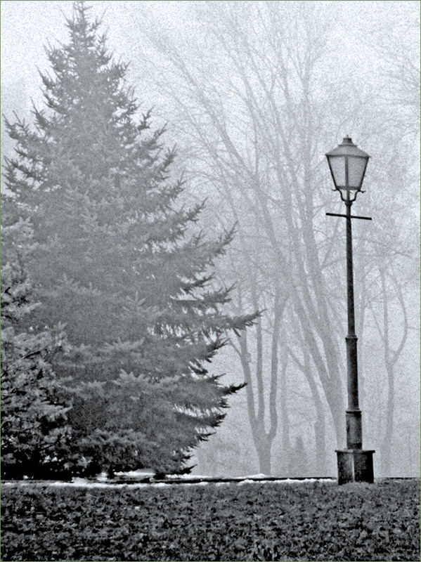 Фотографія За кілька кроків від Нового року / Тіна Качалова / photographers.ua