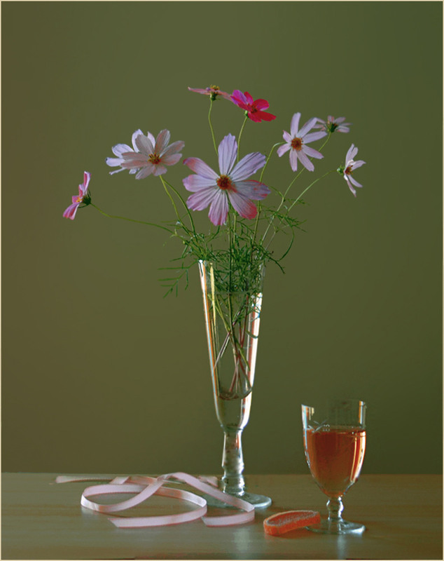 Фотографія Мої улюбленці (з балкона) / Тіна Качалова / photographers.ua