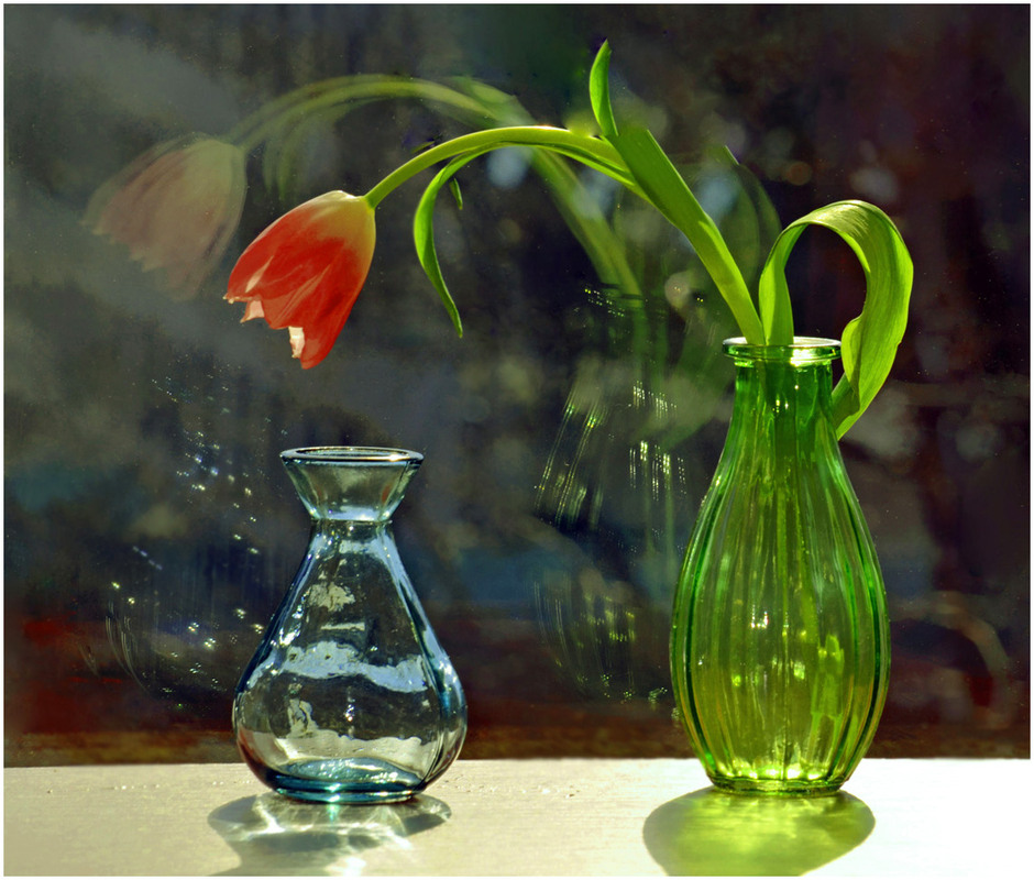 Фотографія Про маленьку вазочку, яка мріє підрости... / Тіна Качалова / photographers.ua