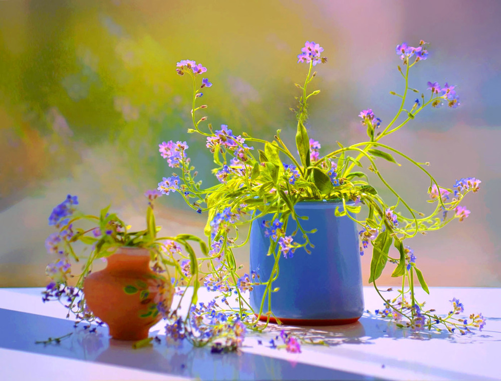 Фотографія Дві реальності / Тіна Качалова / photographers.ua