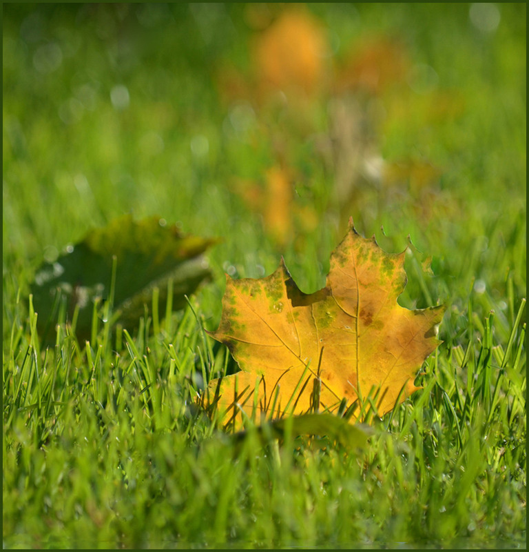 Фотографія На межі... / Тіна Качалова / photographers.ua