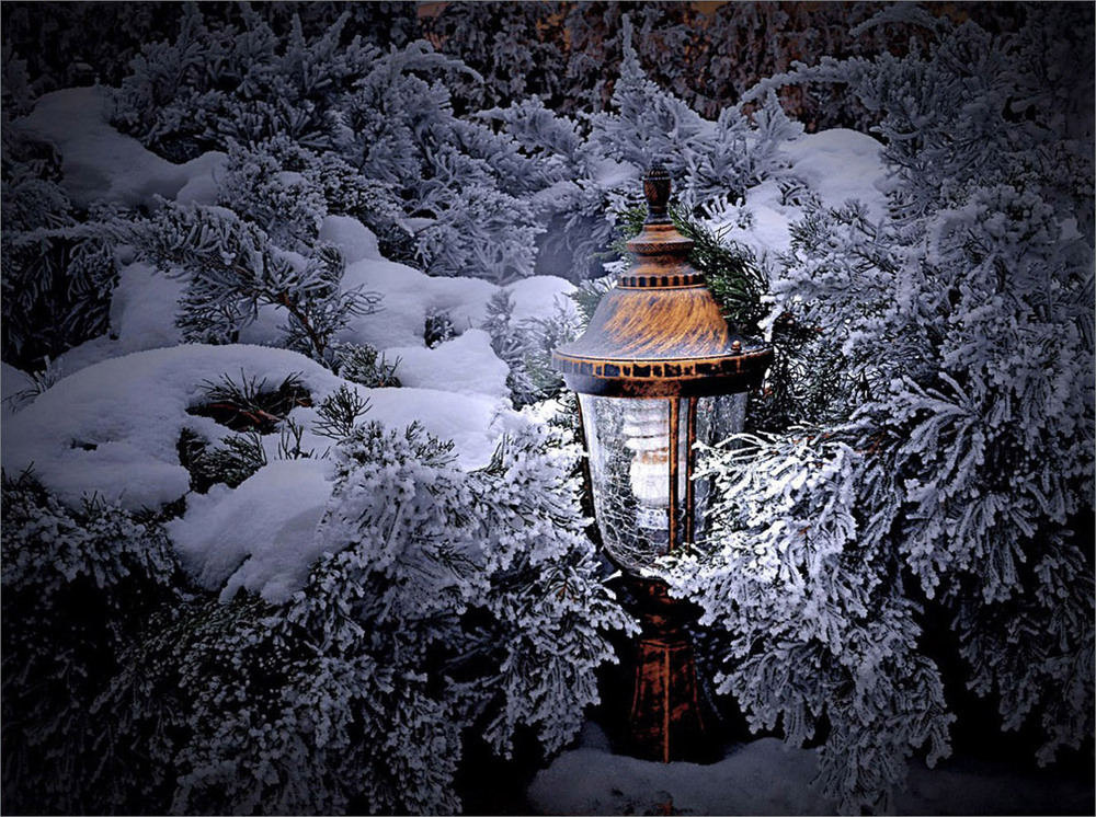 Фотографія Кубельце для маленького ліхтаря / Тіна Качалова / photographers.ua