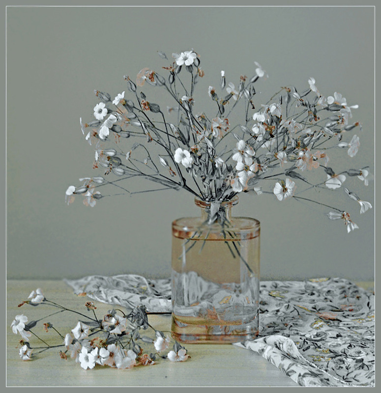 Фотографія Разное / Тіна Качалова / photographers.ua