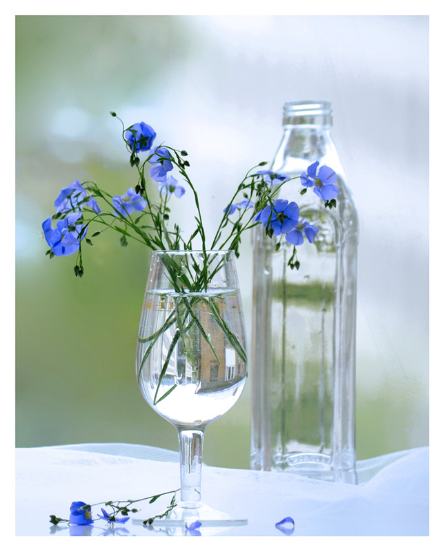 Фотографія А льон цвіте синьо-синьо... / Тіна Качалова / photographers.ua